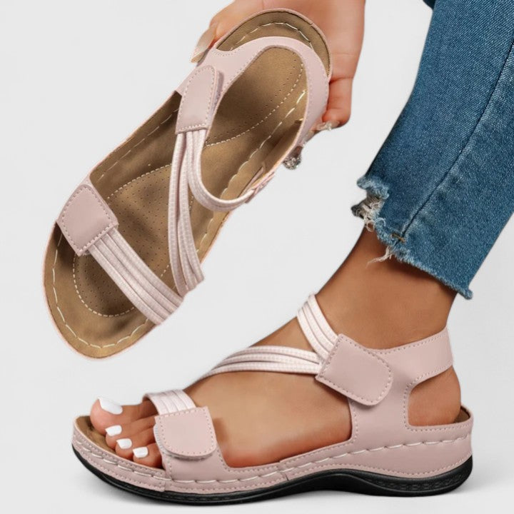 Rosa / 12 US | 43 EU