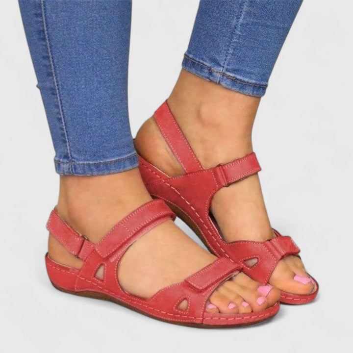 Rot / 12 US | 43 EU
