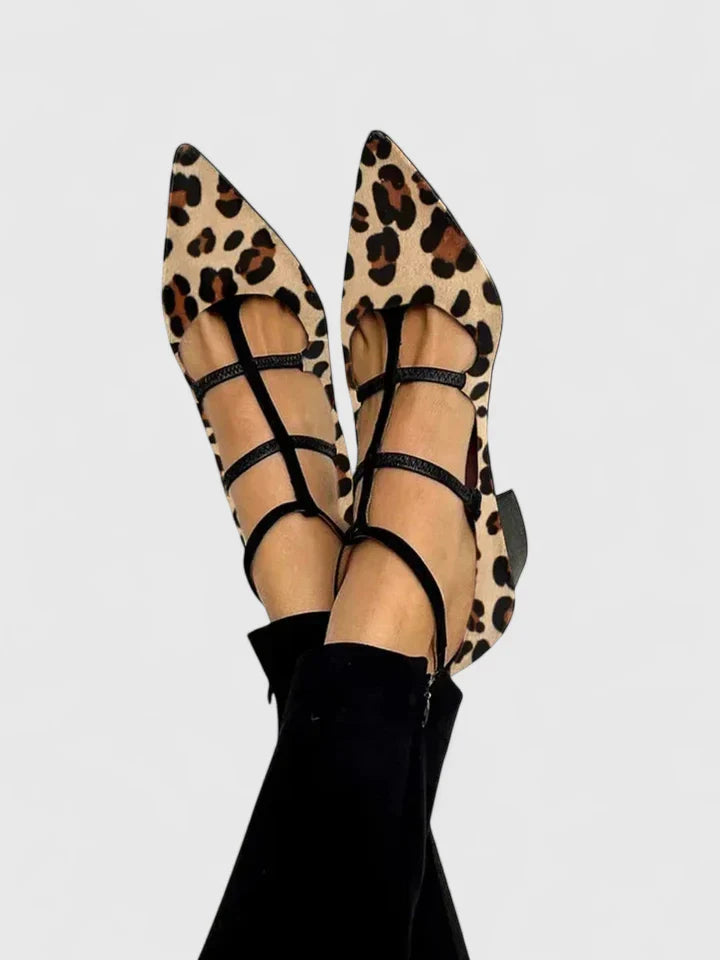 Leopard / 12 US | 43 EU