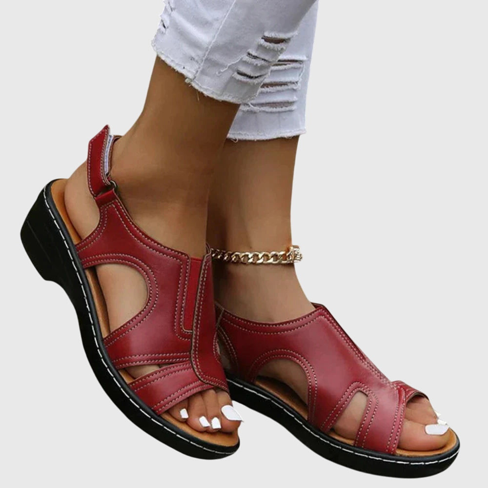 Rot / 12 US | 43 EU
