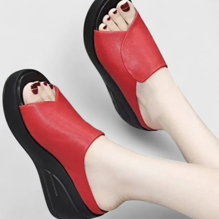 Rot / 11 US | 42 EU