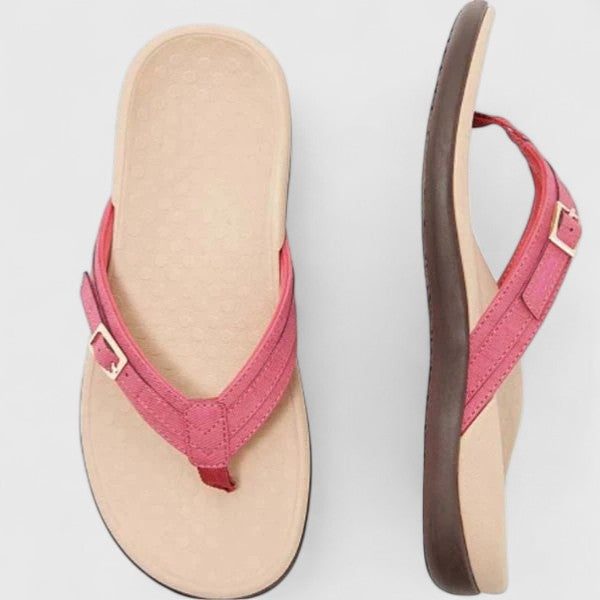 Magenta / 10 US | 41 EU