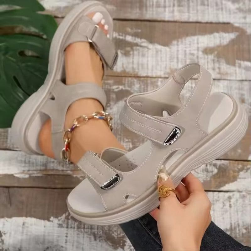 Beige / 44